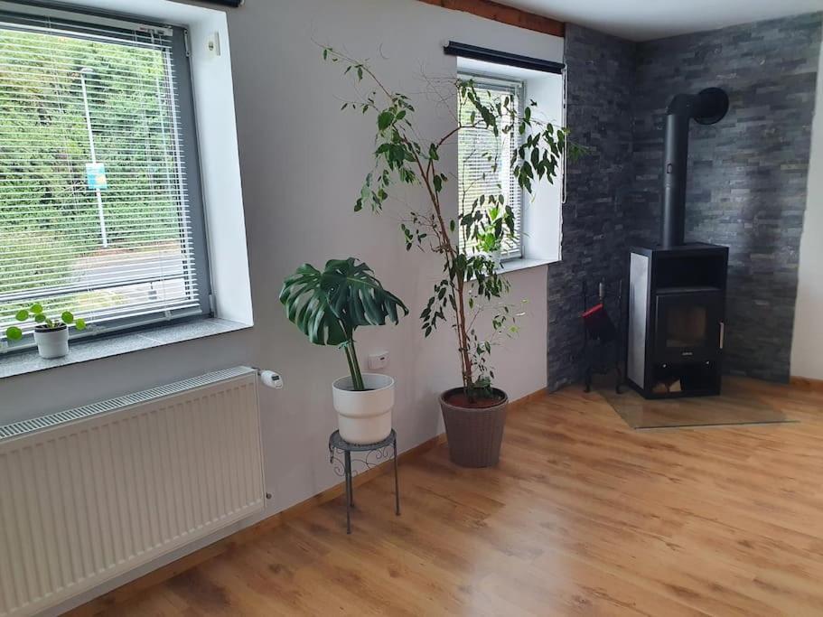 Kornhaus - Schoene Ferienwohnung Mit Pool, Kamin Und Terrasse 괴팅겐 외부 사진
